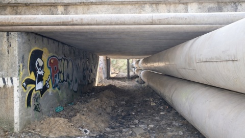 Takie krajobrazy napotkamy na wytyczonej trasie. / Fot. Jan Kwiatoń, Facebook