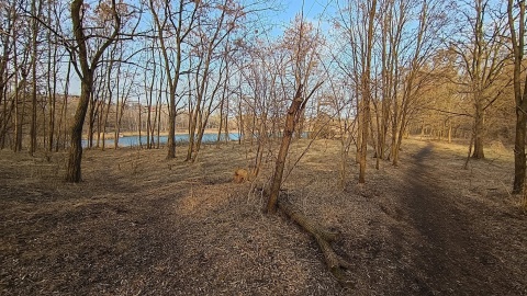 Takie krajobrazy napotkamy na wytyczonej trasie. / Fot. Jan Kwiatoń, Facebook