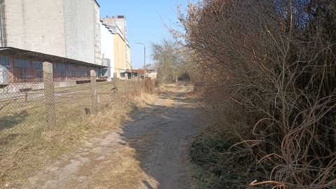 Takie krajobrazy napotkamy na wytyczonej trasie. / Fot. Jan Kwiatoń, Facebook