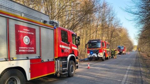 Auto dachowało w miejscowości Budy. / Fot. KM PSP w Grudziądzu