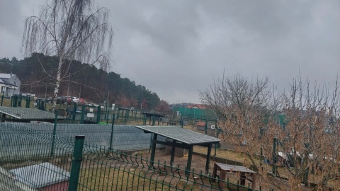 Kiedy więźniowie sprzątali boksy, funkcjonariusze opiekowali się zwierzętami w bydgoskim schronisku/ Fot. D. Witt