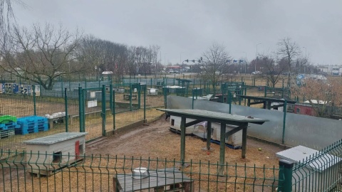 Kiedy więźniowie sprzątali boksy, funkcjonariusze opiekowali się zwierzętami w bydgoskim schronisku/ Fot. D. Witt