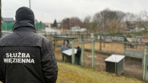 Kiedy więźniowie sprzątali boksy, funkcjonariusze opiekowali się zwierzętami w bydgoskim schronisku/ Fot. Służba Więzienna