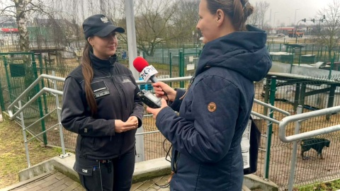Kiedy więźniowie sprzątali boksy, funkcjonariusze opiekowali się zwierzętami w bydgoskim schronisku/ Fot. Służba Więzienna