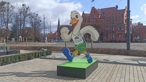 Budowa strefy kibica na Rynku Nowomiejskim w Toruniu/fot. Monika Kaczyńska