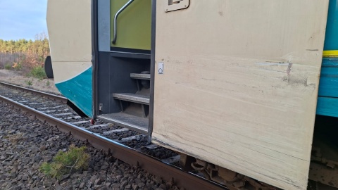 Nikt nie odniósł obrażeń. Kierowca wyszedł z pojazdu o własnych siłach/fot. KM PSP Tuchola