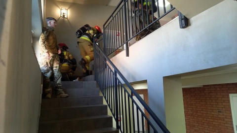 Ćwiczenia służb w Akademickim Liceum Ogólnokształcącym w Bydgoszczy/fot. Tatiana Adonis