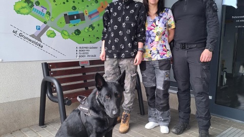 Ned tuż po zabiegu. / Fot. Por. Michalina Kulczyk / sw.gov.pl