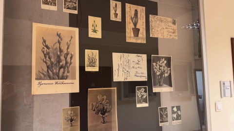 „Zajączkowa poczta” to tytuł wystawy pocztówek z kolekcji Ludmiły Małeckiej/Fot. Magda Jasińska