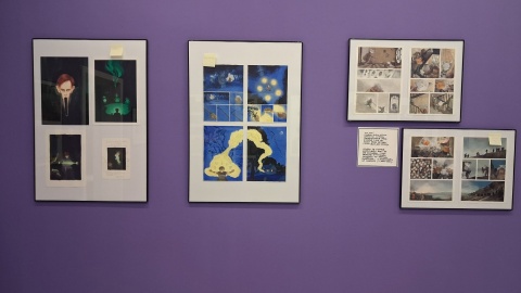 Wystawa „Całe to szaleństwo. Z komiksowego archiwum Joanny Karpowicz”/fot. Iwona Muszytowska-Rzeszotek