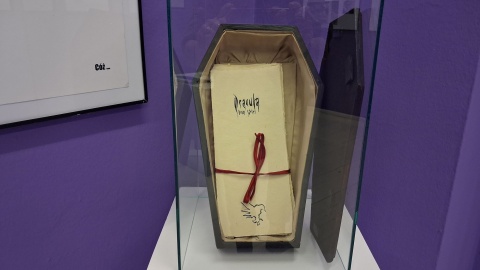 Wystawa „Całe to szaleństwo. Z komiksowego archiwum Joanny Karpowicz”/fot. Iwona Muszytowska-Rzeszotek