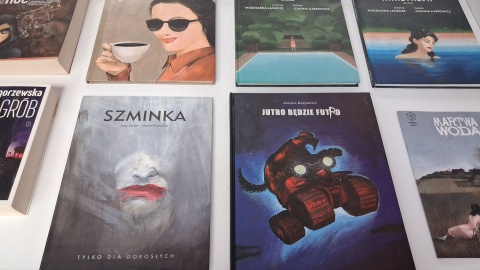 Wystawa „Całe to szaleństwo. Z komiksowego archiwum Joanny Karpowicz”/fot. Iwona Muszytowska-Rzeszotek