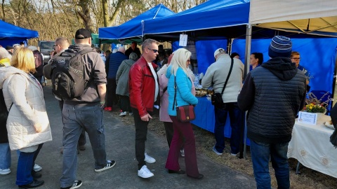 Podczas Święta Żuru Kujawskiego poza żurem można było spróbować wielu innych świątecznych potraw/Fot. Radosław Jagieła