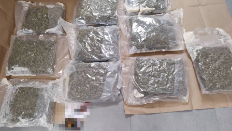 21-latek z Bydgoszczy odpowie za handel środkami odurzającymi i „pranie" brudnych pieniędzy. W mieszkaniu miał prawie 12 kg marihuany, a w mieszkaniu 800 tys. zł/fot. KMP Bydgoszcz