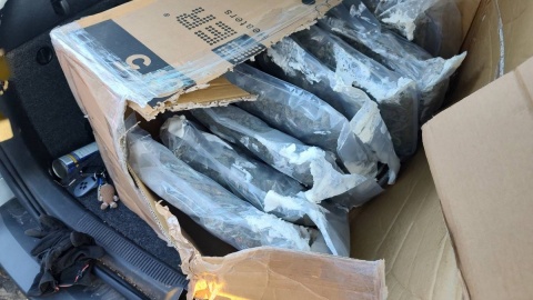 21-latek z Bydgoszczy odpowie za handel środkami odurzającymi i „pranie" brudnych pieniędzy. W mieszkaniu miał prawie 12 kg marihuany, a w mieszkaniu 800 tys. zł/fot. KMP Bydgoszcz