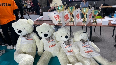 Turniej sportowy „Biały Miś"/fot. Natasza Trzebuchowska