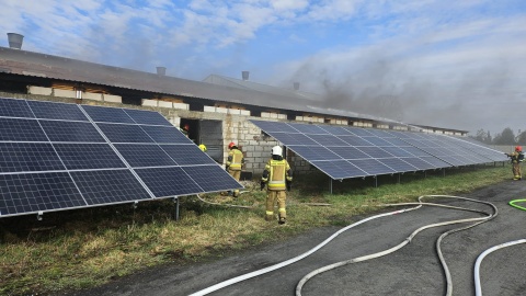 Ogień wybuchł na poddaszu chlewni w w Kraszycach. / Fot. KP PSP w Inowrocławiu.