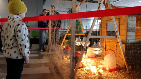 Akademicki Jarmark Wielkanocny Politechniki Bydgoskiej/fot. Tatiana Adonis