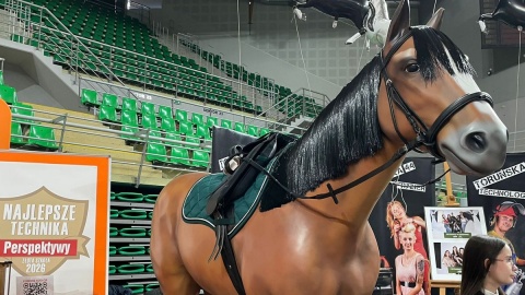 „Forum szkół" w Bydgoszczy/fot. Natasza Trzebuchowska