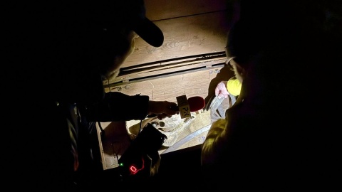 Wykopano skrzynię, w której znajdowały się m.in. szczątki konia z legendy/fot. Izabela Langner