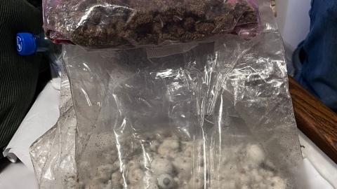 Kujawsko-pomorska Krajowa Administracja Skarbowa (KAS) zlikwidowała dwa punkty, w których organizowane były nielegalne gry hazardowe/fot. K-P KAS