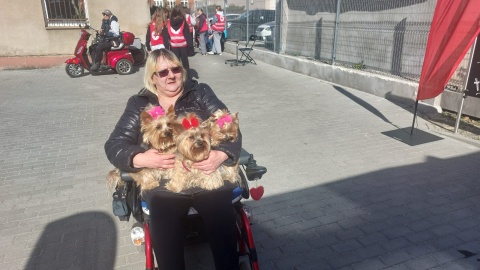 W Bydgoszczy przy świątecznym stole usiedli podopieczni PCK i ich zwierzęta/ Fot. Sława Skibińska-Dmitruk