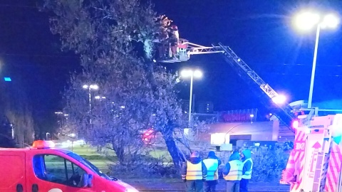 Auto uderzyło w drzewo na Rondzie Grunwaldzkim/fot. Marcin Kupczyk