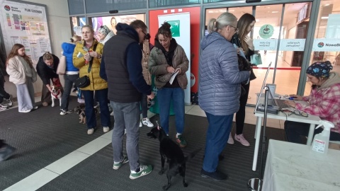 Chipowanie zwierząt w centrum handlowym Nowe Bielawy w Toruniu/fot. Monika Kaczyńska