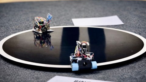 Roboty przygotowane przez 40 zespołów rywalizowały ze sobą w zawodach Mini Sumo na Politechnice Bydgoskiej/Fot. Izabela Langner