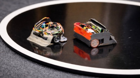 Roboty przygotowane przez 40 zespołów rywalizowały ze sobą w zawodach Mini Sumo na Politechnice Bydgoskiej/Fot. Izabela Langner