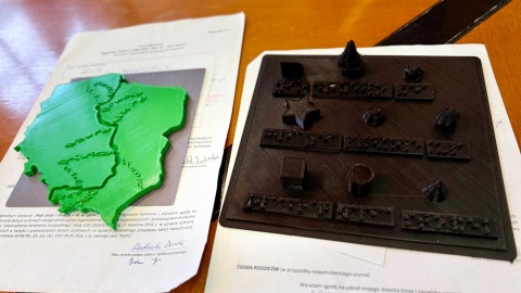 Prace nagrodzone w konkursie drukowania różnych form w 3D/fot. Izabela Langner