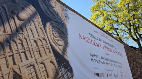 18 kwietnia 2026 roku stworzono najdłuższego piernika w Polsce. Mierzy 124 metry i 60 centymetrów!/fot. Mariusz Luda