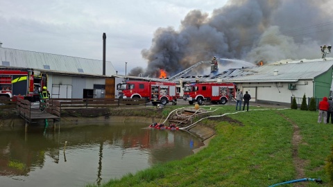Pożar hali produkcyjnej w Dziardonicach w powiecie włocławskim. / Fot. KM PSP w Toruniu