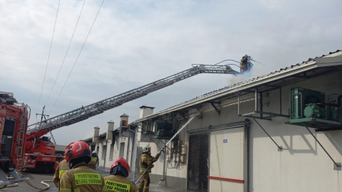 Pożar hali produkcyjnej w Dziardonicach w powiecie włocławskim/fot. Marek Ledwosiński