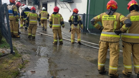 Pożar hali produkcyjnej w Dziardonicach w powiecie włocławskim/fot. Marek Ledwosiński