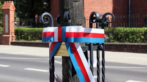 Poczet Dębów Honorowych w alei Ossolińskich upamiętnia osoby i wydarzenia ważne dla Bydgoszczy/fot. Tatiana Adonis