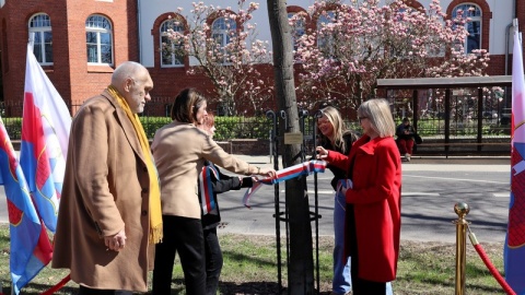 Poczet Dębów Honorowych w alei Ossolińskich upamiętnia osoby i wydarzenia ważne dla Bydgoszczy/fot. Tatiana Adonis