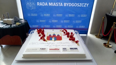 Podczas uroczystego posiedzenia uhonorowano osoby i instytucje szczególnie zasłużone dla miasta. / Fot. Tatiana Adonis