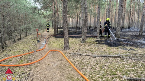 Pożar w Dzikowie/fot. KM PSP Toruń/Facebook