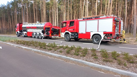 Pożar lasu we Włocławku/fot. KM PSP Włocławek