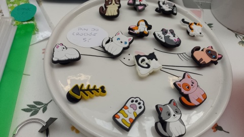 W Toruniu odbył się Kiermasz charytatywny na rzecz bezdomnych i chorych kotów/Fot. Michał Zaręba