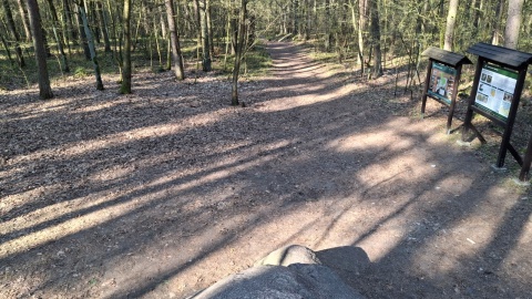 Widok z pozycji szczytu kamienia/fot. Marcin Doliński