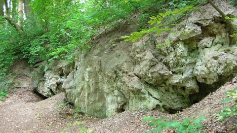 Jaskinia Bajka/fot. Wikipedia/Pit1233