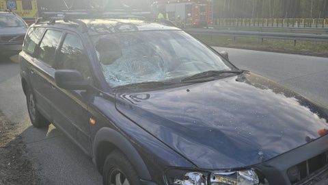 Wypadek na trasie S5 pod Bydgoszczą/Fot. OSP Wtelno