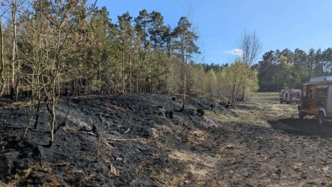 Pożar lasu w powiecie tucholskim/fot. Ochotnicza Straż Pożarna w Jeziorkach