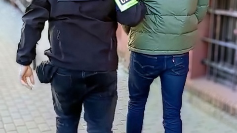 11 osób podejrzanych o dokonanie szeregu oszustw ubezpieczeniowych w Bydgoszczy/Fot. KGP