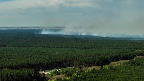 Od wtorkowego popołudnia strażacy walczą z pożarem lasu w pow. biłgorajskim w nadleśnictwie Józefów, który objął ok. 250 ha/ Fot. PAP/Wojtek Jargiło