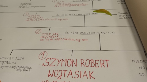 Wojewódzka edycja konkursu genealogicznego bydgoskiego Archiwum Państwowego pt. „Bez korzeni nie zakwitniesz". Poziom prac był bardzo wysoki/fot. Monika Siwak