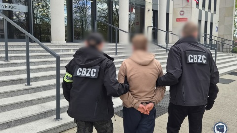 Policjanci znaleźli ponad 1500 nośników cyfrowych, na których znajdowało się ponad 330 tys. plików przedstawiających seksualne wykorzystanie osób małoletnich/fot. KGP
