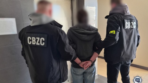 Policjanci znaleźli ponad 1500 nośników cyfrowych, na których znajdowało się ponad 330 tys. plików przedstawiających seksualne wykorzystanie osób małoletnich/fot. KGP